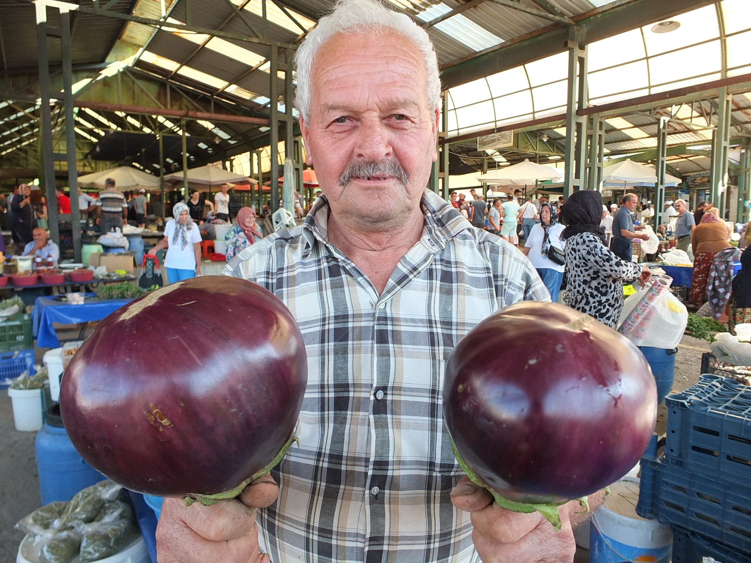 BÖYLESİ GÖRÜLMEDİ… HER BİRİ NEREDEYSE BİR KARPUZ BÜYÜKLÜĞÜNDE…