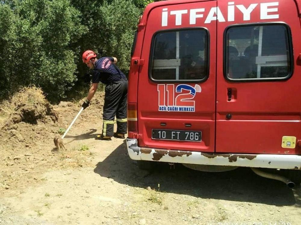 ÇUKURA DÜŞEN YAVRU DOMUZU İTFAİYE KURTARDI