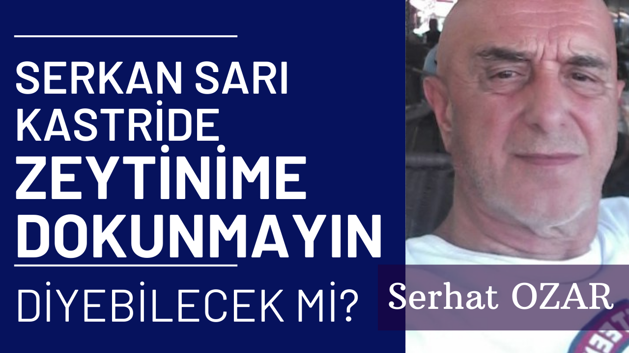 SERKAN SARI KASTRI’DE “ZEYTİNİME DOKUNMAYIN” DİYECEK Mİ? – SERHAT OZAR YAZDI