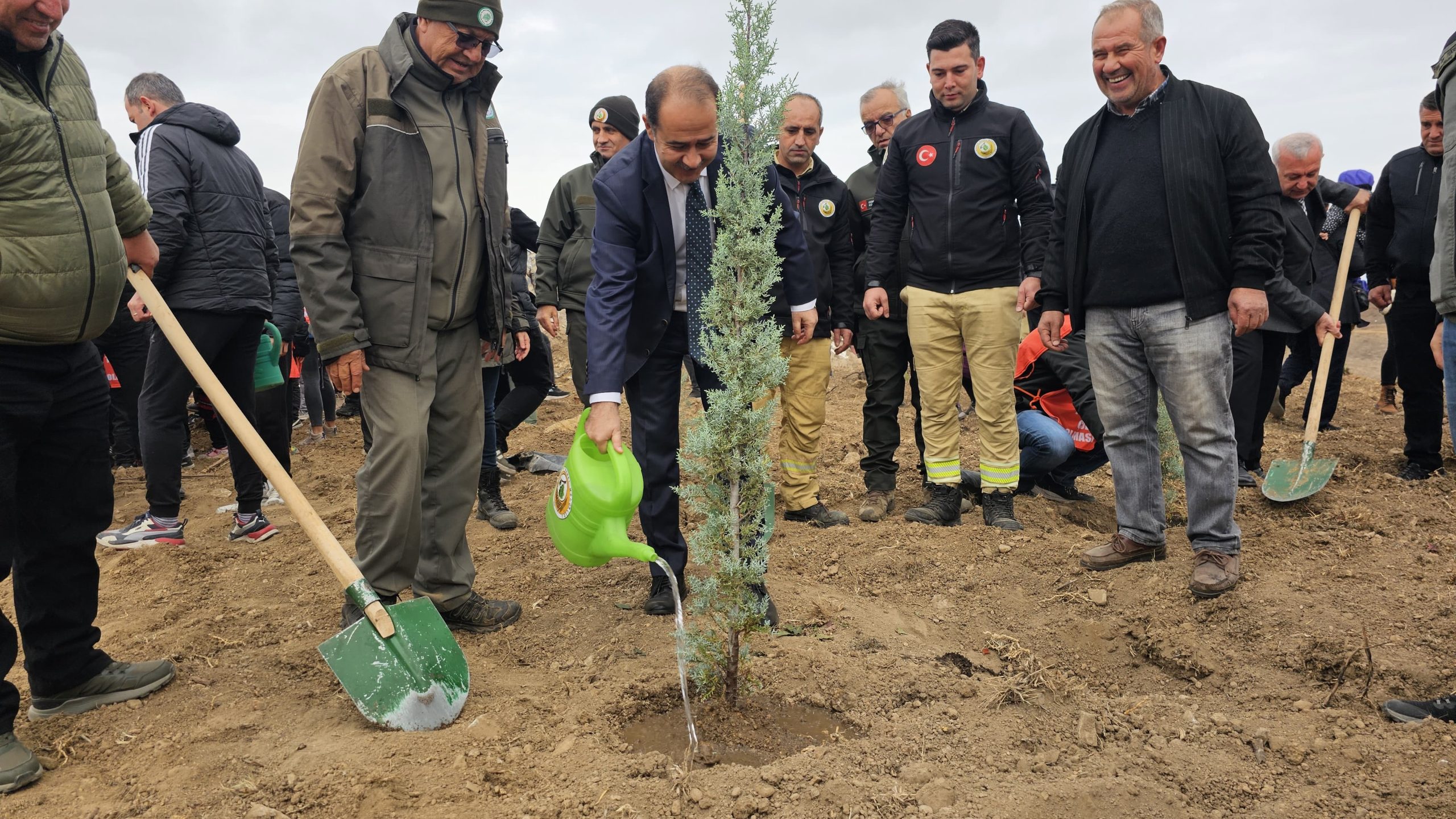 BANDIRMA’DA YANAN ALANA 750 ÇAM FİDANI DİKİLDİ