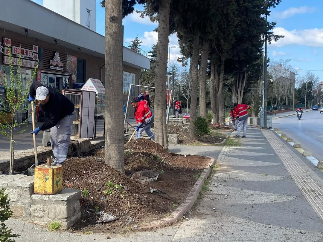 Belediye çalışmalara hız verdi