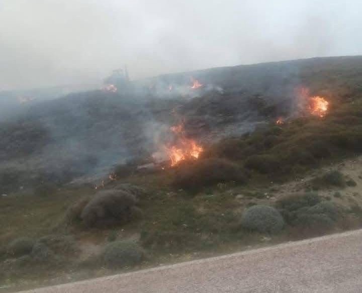 Avşa Adası’nda çıkan yangın kontrol altına alındı